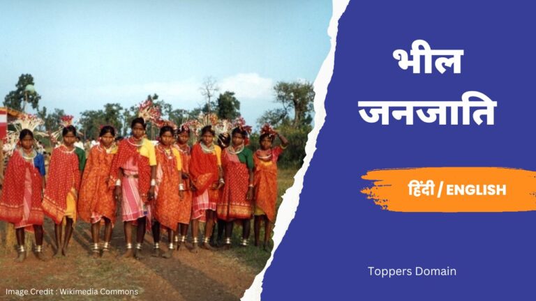 bhil tribes- toppers domain