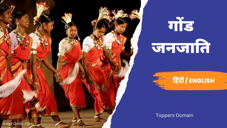 gond tribes- toppers domain